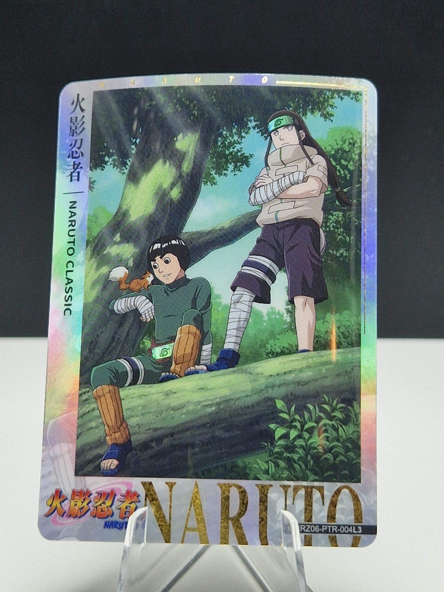 NRZ06-PTR-004 Neji Hyuga & Rock Lee